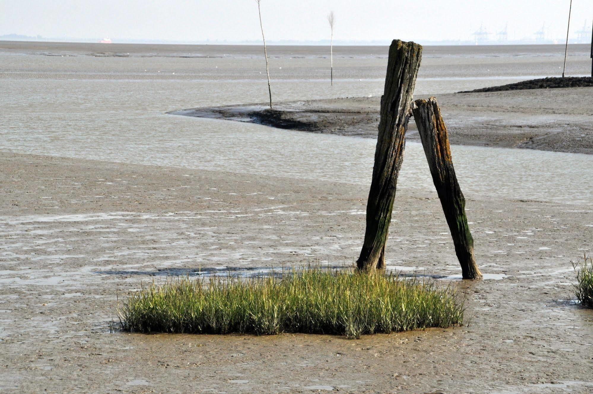 Strand Hotel Nordsee, Hotel Deichlaeufer Tossens Zewnętrze zdjęcie